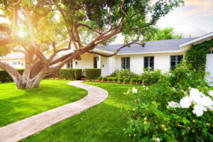 outdoor-view-of-home-with-front-yard-and-path